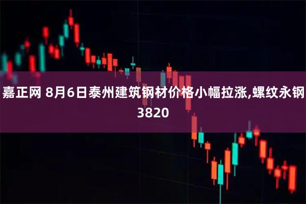 嘉正网 8月6日泰州建筑钢材价格小幅拉涨,螺纹永钢3820