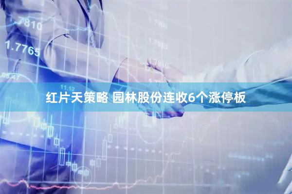 红片天策略 园林股份连收6个涨停板