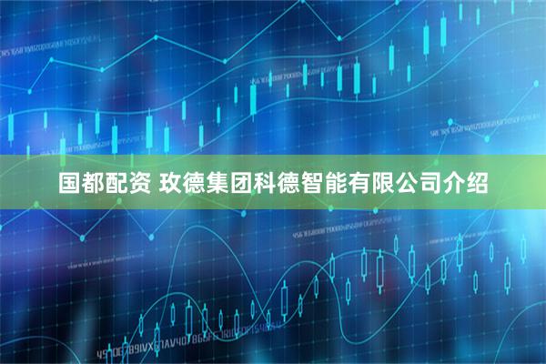 国都配资 玫德集团科德智能有限公司介绍