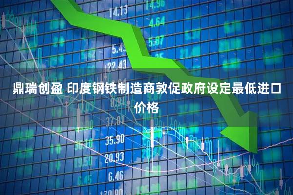鼎瑞创盈 印度钢铁制造商敦促政府设定最低进口价格